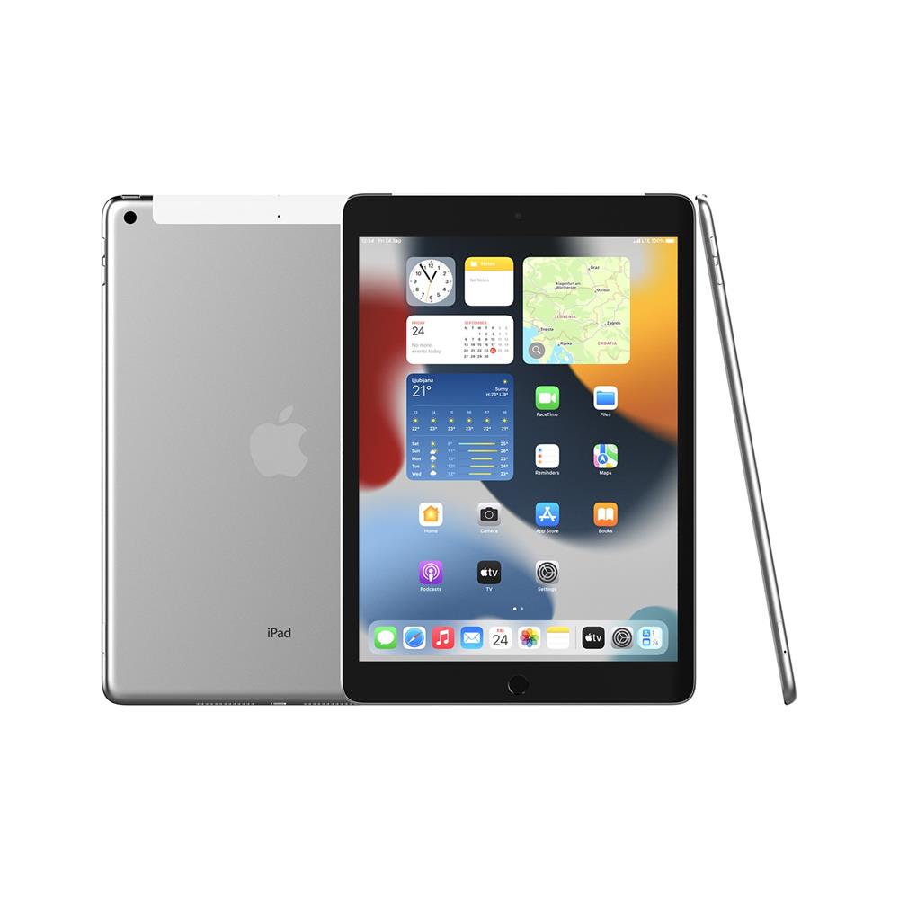 Apple iPad 10.2 (9th) Cellular (MK493HC/A)