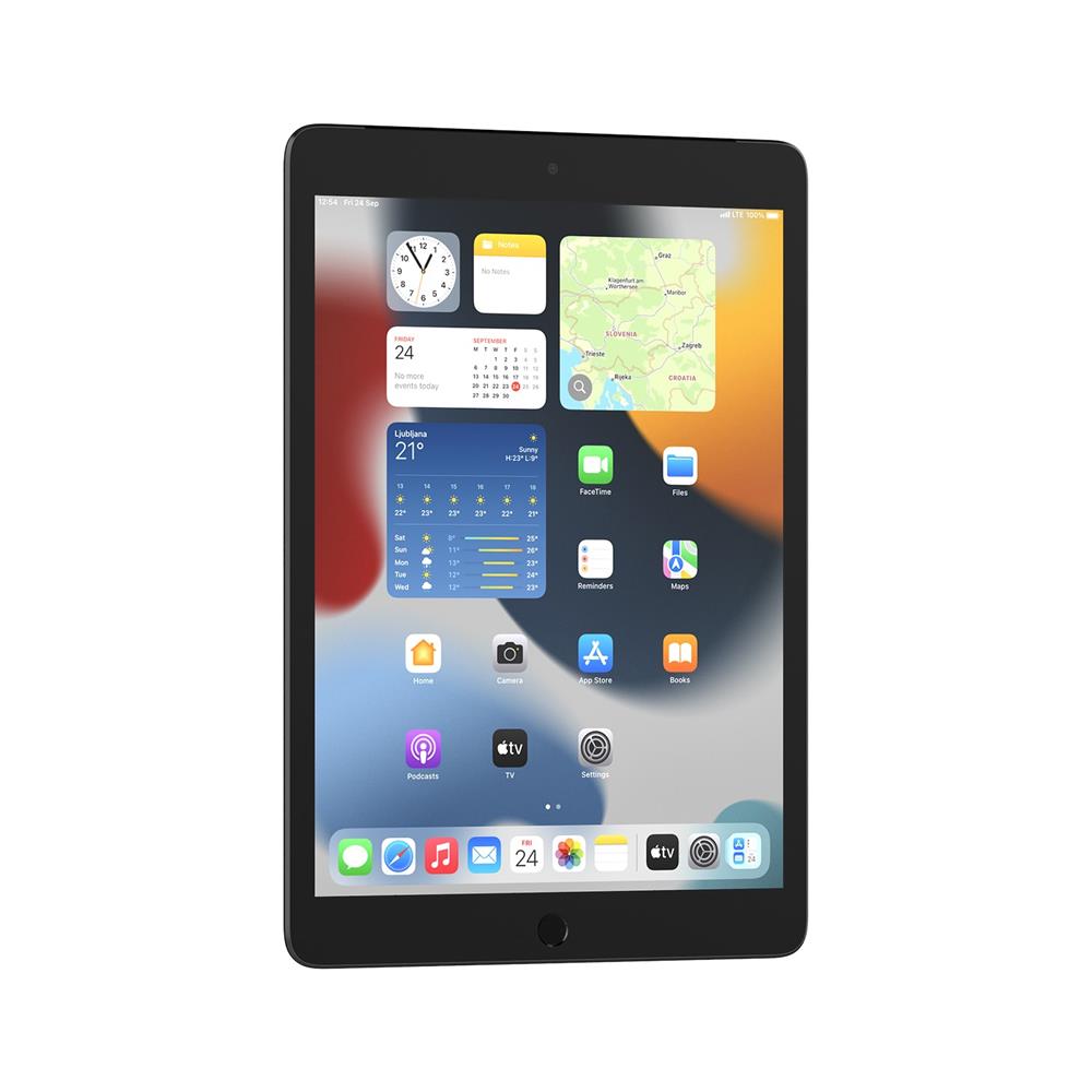 Apple iPad 10.2 (9th) Cellular (MK4E3HC/A)