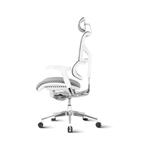 Ergovision Pisarniški stol SMART PLUS 07 sivo-bela