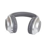 Panasonic Bluetooth slušalke RB-HX220BDES srebrna
